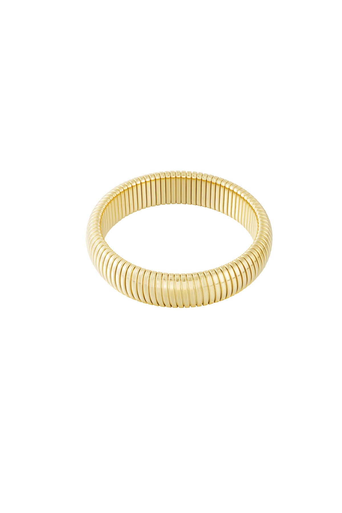 RVS Armband Dames | Elegante Cirkel Armband Goud & Zilver |