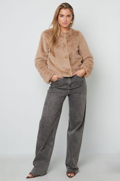 Elegant Damesjasje voor Herfst & Winter